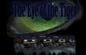 Eye of the tiger -Skin